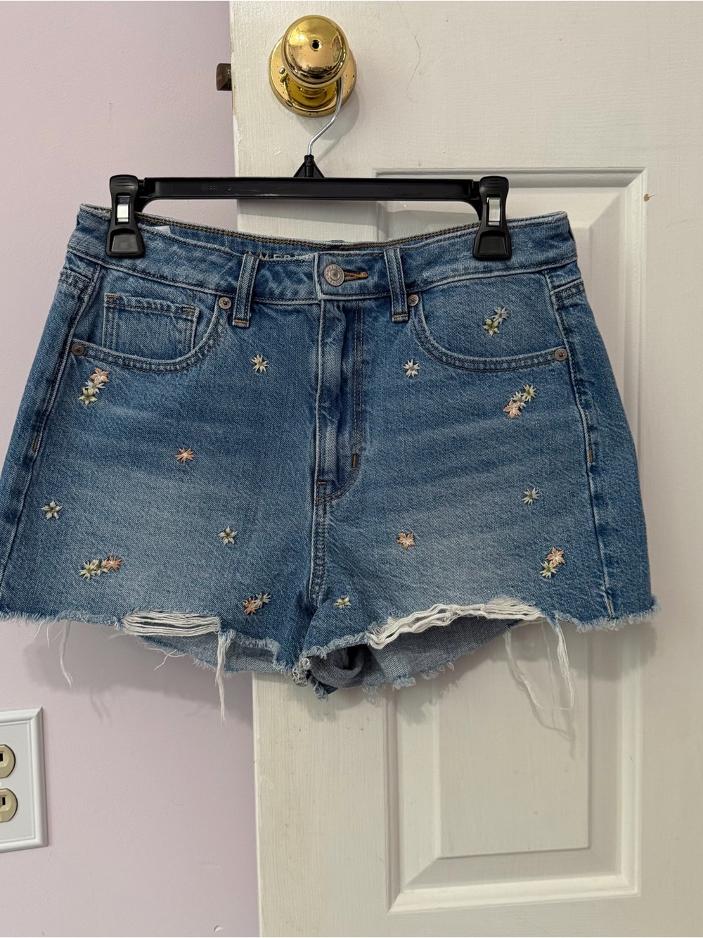 American Eagle Outfitters Blue Denim Embroidered Floral Jean Shorts